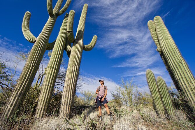 Incredible Hidden Valley Guided Hike in Phoenix, Arizona - Final Thoughts