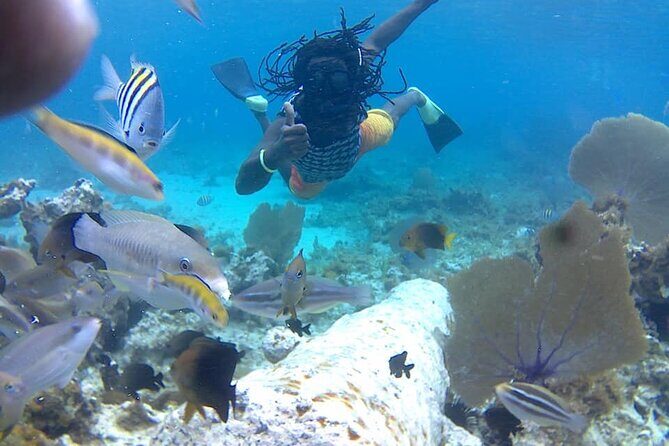 Incredible Negril Guided Snorkeling To Reef, Anchor, and Cannon - Key Points