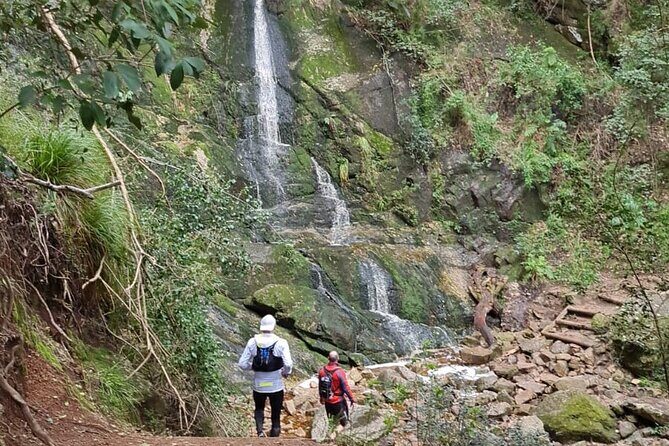 Incredible Table Mountain Guided Day Hike or Trail Run - What Makes This Tour Stand Out?