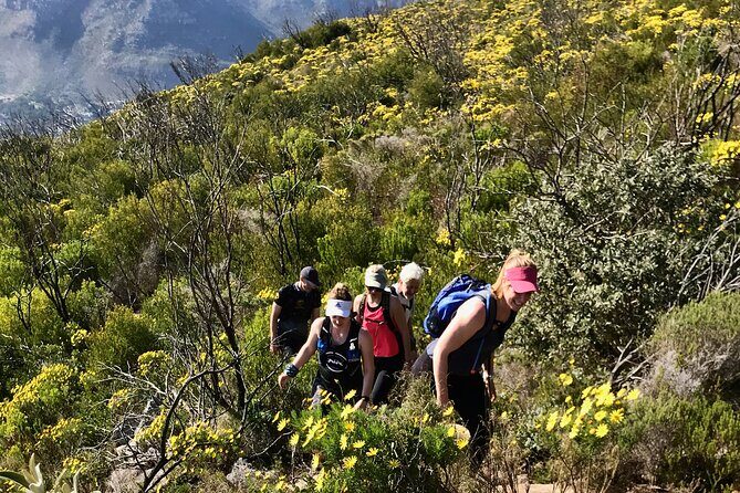 Incredible Table Mountain Guided Day Hike or Trail Run - Authentic Experiences and Traveler Feedback