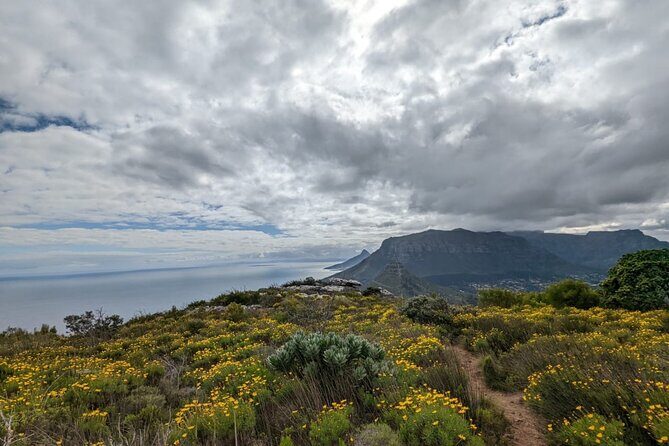Incredible Table Mountain Guided Day Hike or Trail Run - The Sum Up