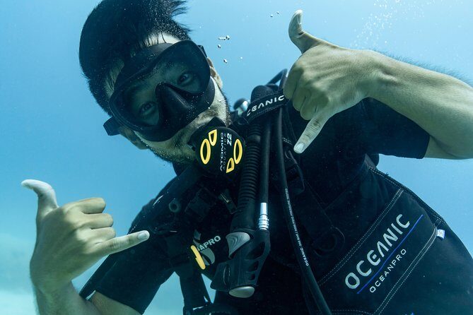 Incredibly Fun 2-Tank Coral Reef South Shore Boat Dive in Oahu from Waikiki - The Experience in Action