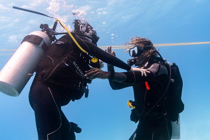Incredibly Fun 2-Tank Coral Reef South Shore Boat Dive in Oahu from Waikiki - Authentic Marine Encounters