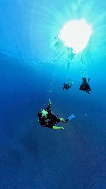 Independent exploration for certified divers (N2, PA20 min.) - Discover Réunion’s Underwater Charm with Independent Diving