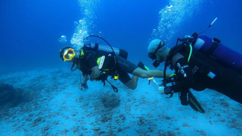 Independent exploration for certified divers (N2, PA20 min.) - What You Can Expect from This Tour