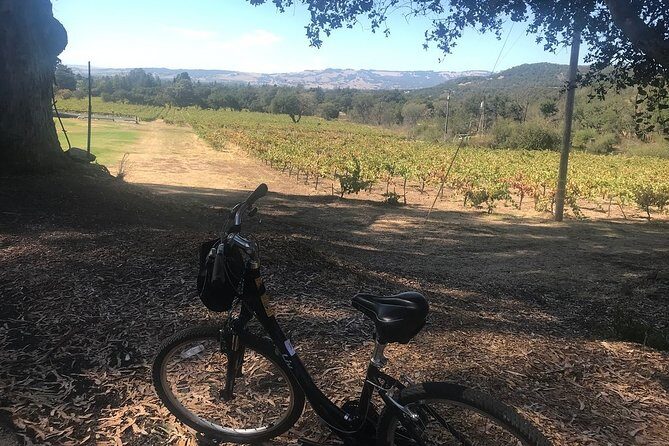 Independent Hassle-free Bike Rental in Sonoma - Who Should Consider This Experience?