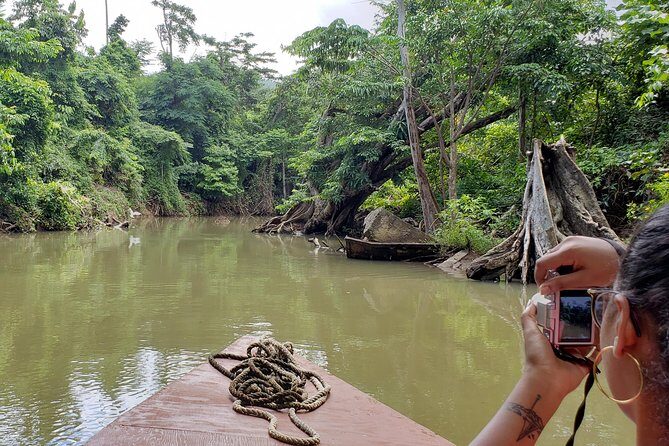 Indian River, Cold Soufriere & Fort Shirley (Northern Excursion) - What Makes This Tour Stand Out?