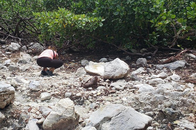 Indian River, Cold Soufriere & Fort Shirley (Northern Excursion) - Who Is This Tour Best For?