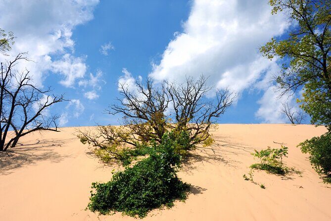 Indiana Dunes National Park Self-Guided Audio Tour - Historic and Cultural Sites