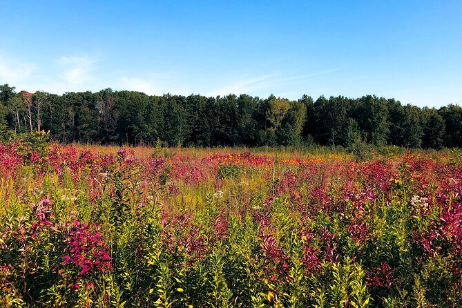 Indiana Dunes National Park Self-Guided Audio Tour - Practical Tips