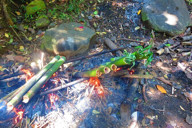 indigenous Forest experience Manila 2023 - Practical Details and What to Expect