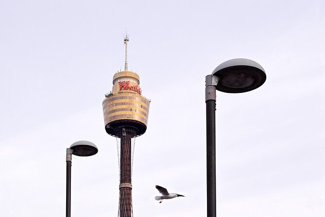 Infinity by Mark Best - Sydney Tower Elegant Dining Experience - Who Should Consider This Experience?