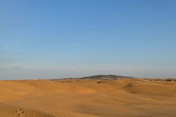 Inner Mongolia Hohhot 1Day Kubuqi Desert (Whistling Dune Bay)Tour - Exploring the Kubuqi Desert: A Desert in Inner Mongolia
