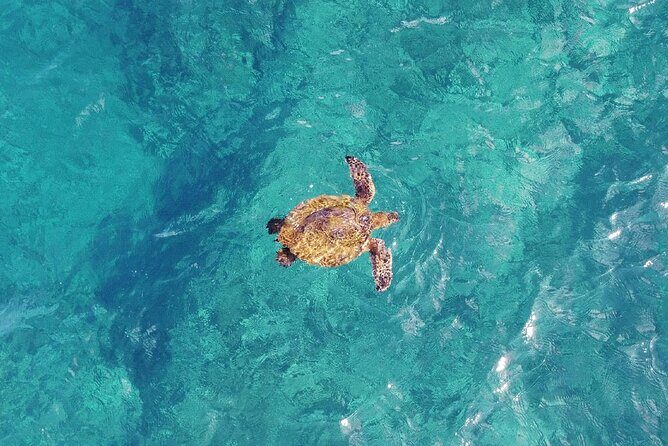 Inner Reef Explorer - 30 minute Reef Scenic Flight - The Practical Aspects — What You Need to Know