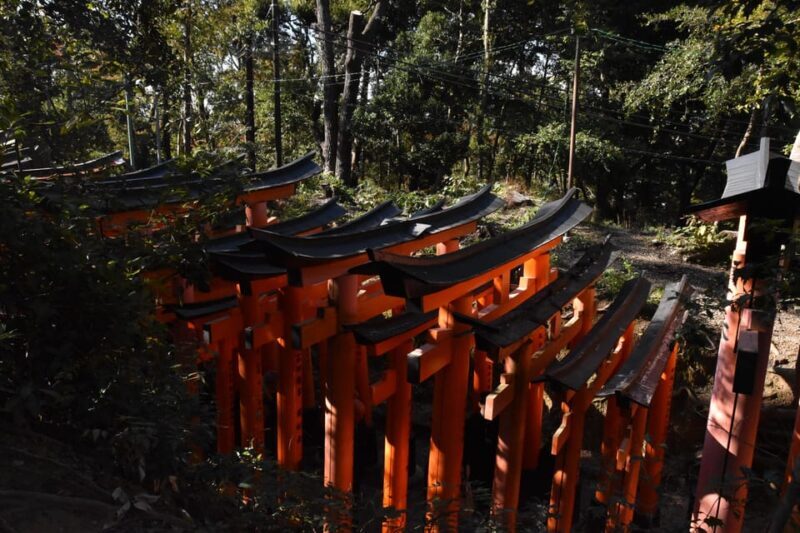 Inside of Fushimi Inari - exploring and lunch with locals - Final Thoughts