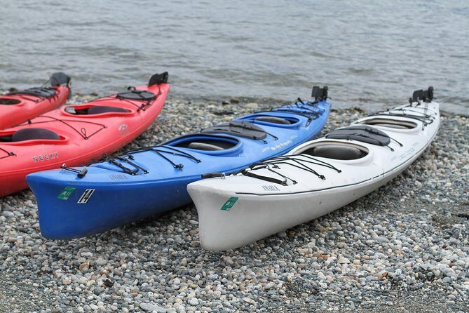 Inside Passage Sea Kayaking in Haines - A Detailed Look at the Haines Sea Kayaking Experience