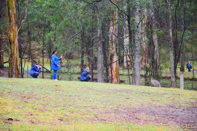 Inside the Greater Blue Mountains World Heritage - A Private Wildlife Safari Overnight - Practical Considerations