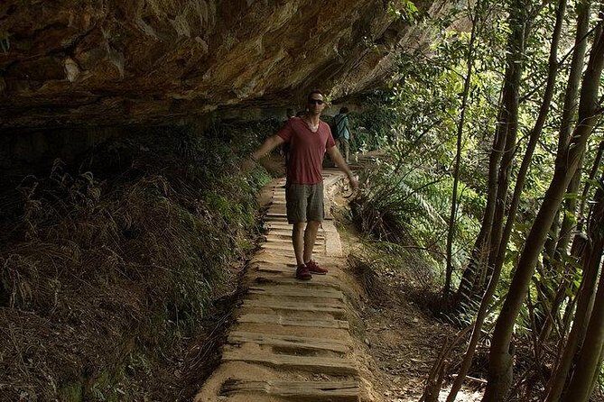 Inside the Greater Blue Mountains World Heritage - A Wildlife Safari Overnight - Practical Details and Considerations