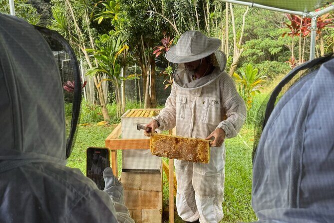 Inside the Hive: Kauai Honey and Bee Tour - Value and Who Will Love This Tour