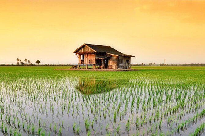 Instagrammable Kuala Selangor Sky Mirror Tour with Transfer - An In-Depth Look at the Tour Experience