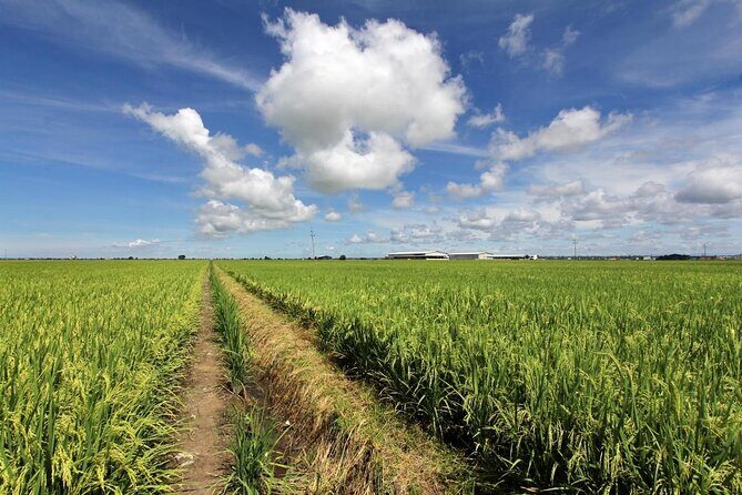 Instagrammable Kuala Selangor Sky Mirror Tour with Transfer - The Sum Up: Who Should Consider This Tour?