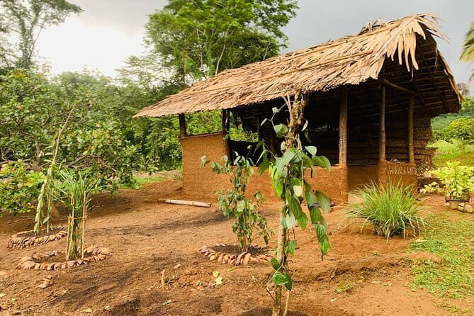 Interactive Cinnamon and Spices Experience at Warala Watta Farm - The Value and Practicalities