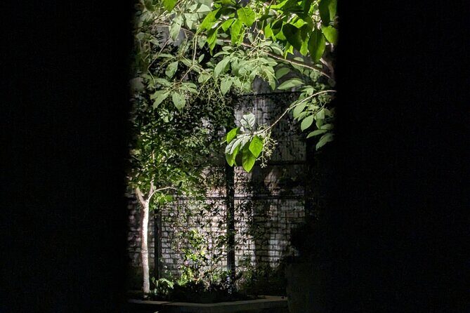 Interactive Paranormal Ghost Walking Tour in Savannah Georgia - Key Points