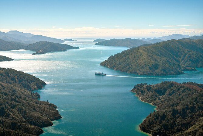 InterIslander Ferry - Picton to Wellington - How the InterIslander Ferry from Picton to Wellington Stands Out