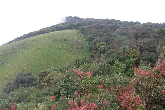 Inthanon Small-Group with Kew Mae Pan Trail from Chiang Mai include Lunch - A Closer Look at the Itinerary and Experience