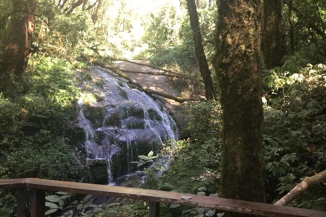 Inthanon Small-Group with Kew Mae Pan Trail from Chiang Mai include Lunch - Final Words: Is This Tour Worth It?