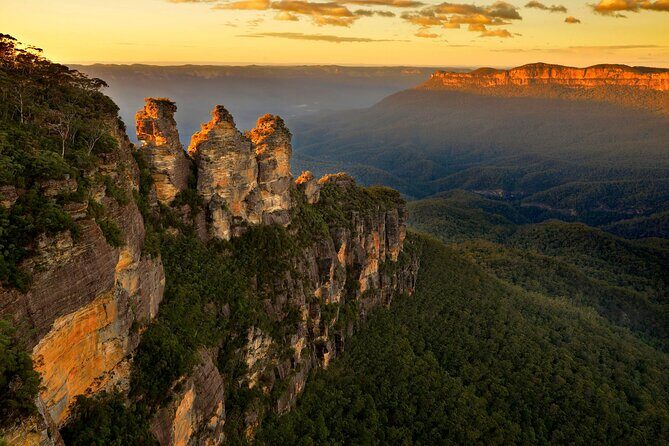 Intimate Blue Mountains Wild Kangaroos & Sunset for Nature Lovers - A Deep Dive into the Blue Mountains Experience