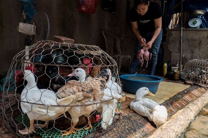 Into the Thieves Market Hanoi Photo Tour - Diving Into the Experience: What to Expect