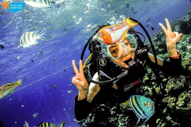 Intro and Professional Scuba Diving Cruise with Lunch in Hurghada - Key Points