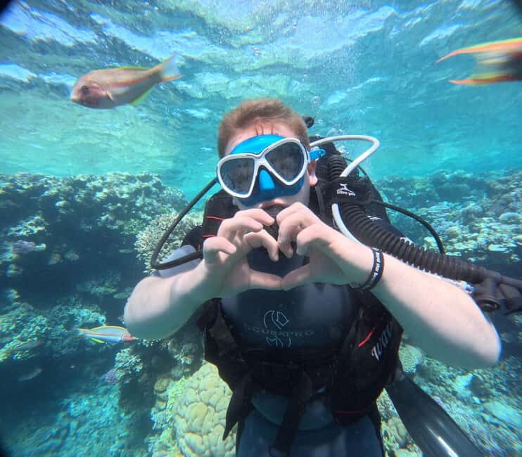 Intro Diving Beginner and Discover Red Sea Underwater - Introduction
