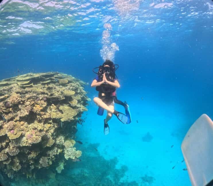 Intro Diving Beginner and Discover Red Sea Underwater - Key Points