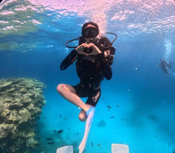 Intro Diving Beginner and Discover Red Sea Underwater - What to Bring and Wear