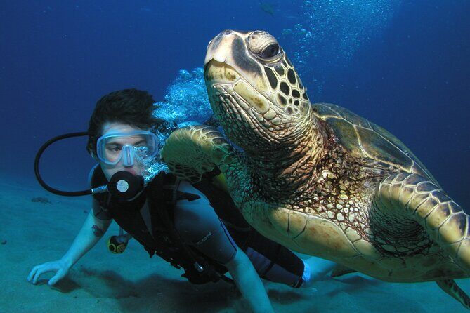 Intro/Refresher Dive Swim Ability Required - What to Expect from This Maui Introduction to Scuba