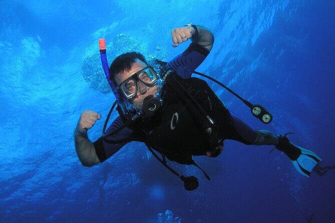 Intro/Refresher Dive Swim Ability Required - FAQ