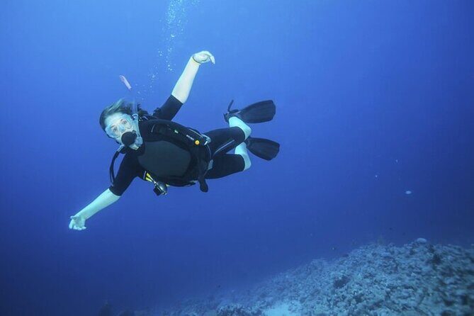 Intro Scuba Diving: 2 Dive Stops With Lunch & transfer - Hurghada - What Travelers Say