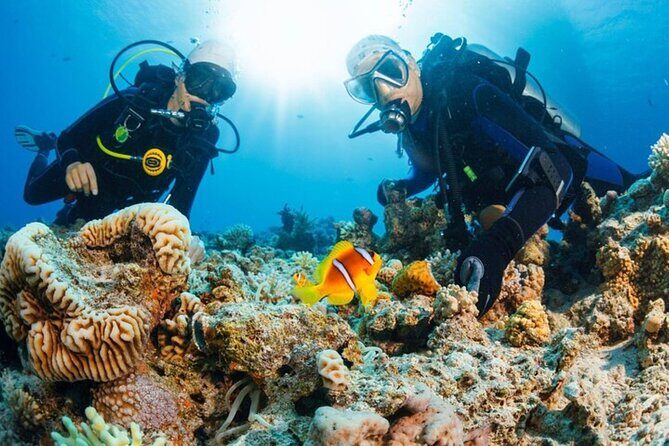 Intro Scuba Diving: 2 Dive Stops With Lunch & transfer - Hurghada - Final Thoughts on the Experience