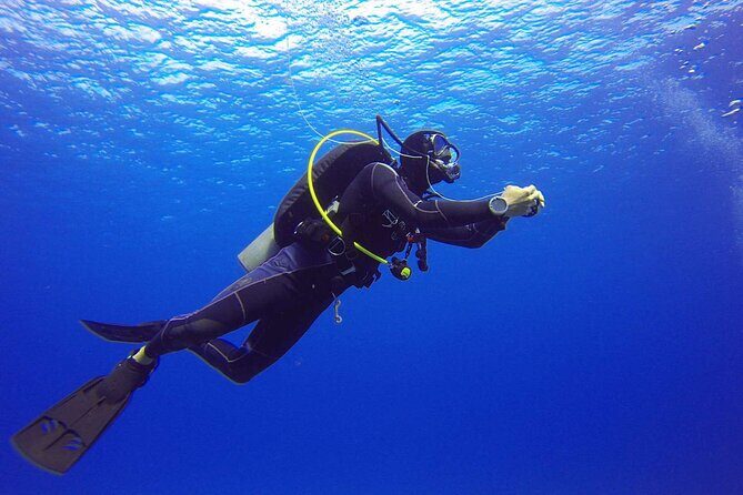 Intro Scuba Diving For Beginners With Lunch in Hurghada - What to Expect from the Tour