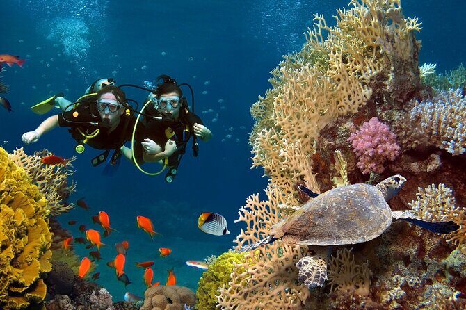 Intro Scuba Diving For Beginners With Lunch in Hurghada - Transportation, Timing, and Group Size
