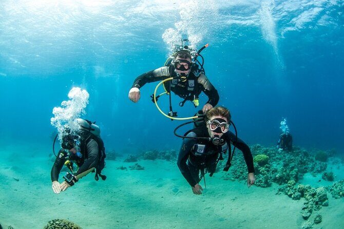 Intro Scuba Diving For Beginners With Lunch in Hurghada - Cost and Value