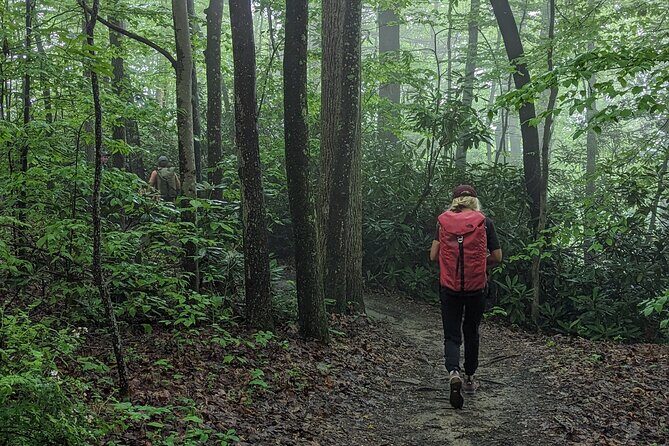 Intro to Camping - The Return and Reflection