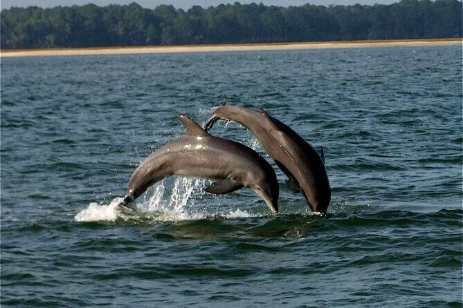 Intro to Stand Up Paddling - A Closer Look at the Hilton Head SUP Experience