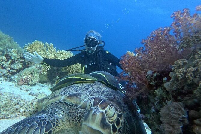 Introduction: Diving from the Reef in Sharm El Sheikh - Final Thoughts: Who Should Consider This Experience?