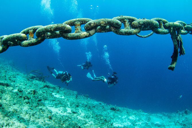 Introduction Shore Dive with Scubaçao (1 dive) - What Makes This Tour Stand Out?