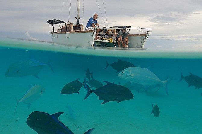 Introduction to sailing and discovering the lagoon - Practical Tips