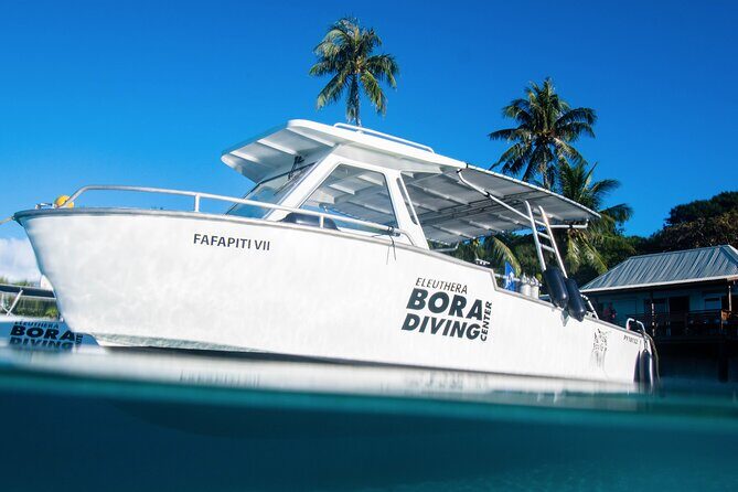 Introductory Dive in Bora Bora (afternoon) - The Equipment and Safety Measures