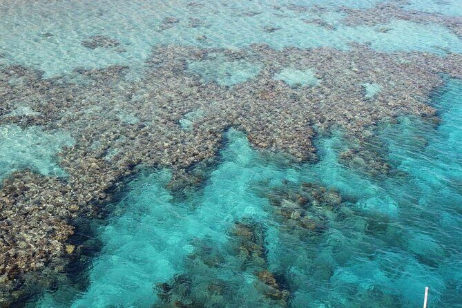 Introductory Dive in Eilat - Key Points
